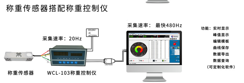 301L稱重電腦端顯示_03 301L稱重電腦端顯示_03